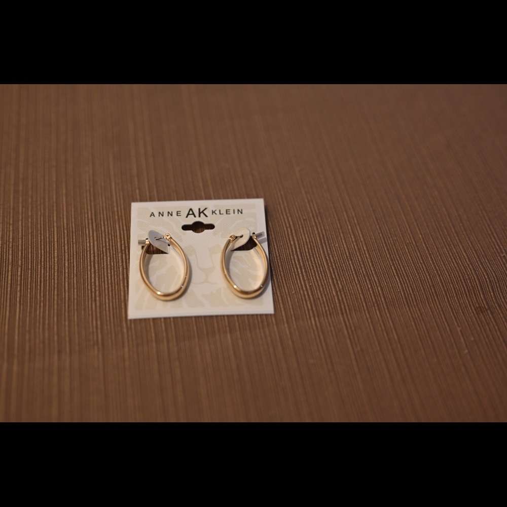 Brand NEW Anne Klein Earrings